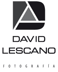 logo_david_lescano